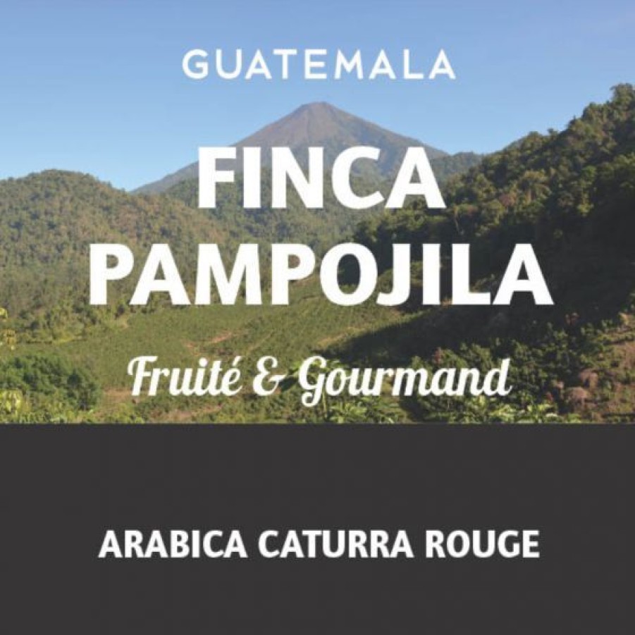 Cafe Comptoi Rsrichard Cafe Pure Origine | Cafe Guatemala Finca Pampojila 250G