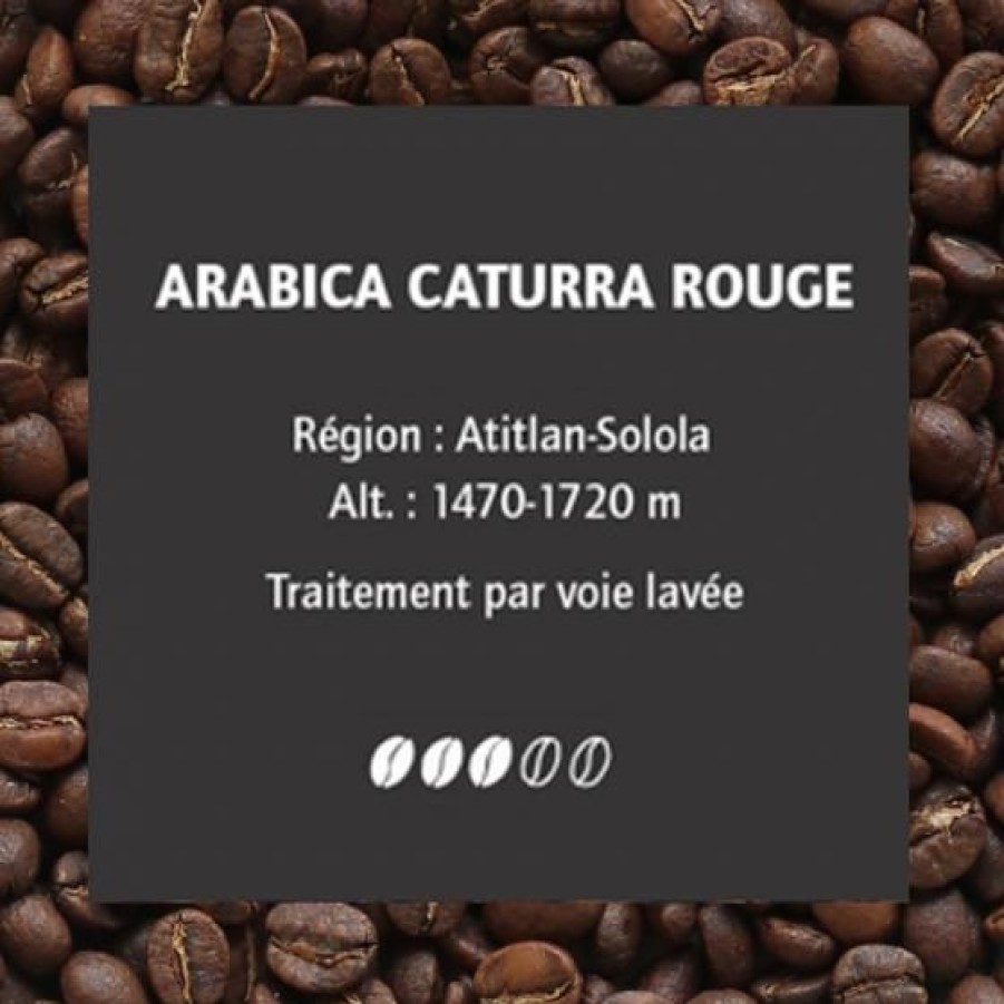 Cafe Comptoi Rsrichard Cafe Pure Origine | Cafe Guatemala Finca Pampojila 250G