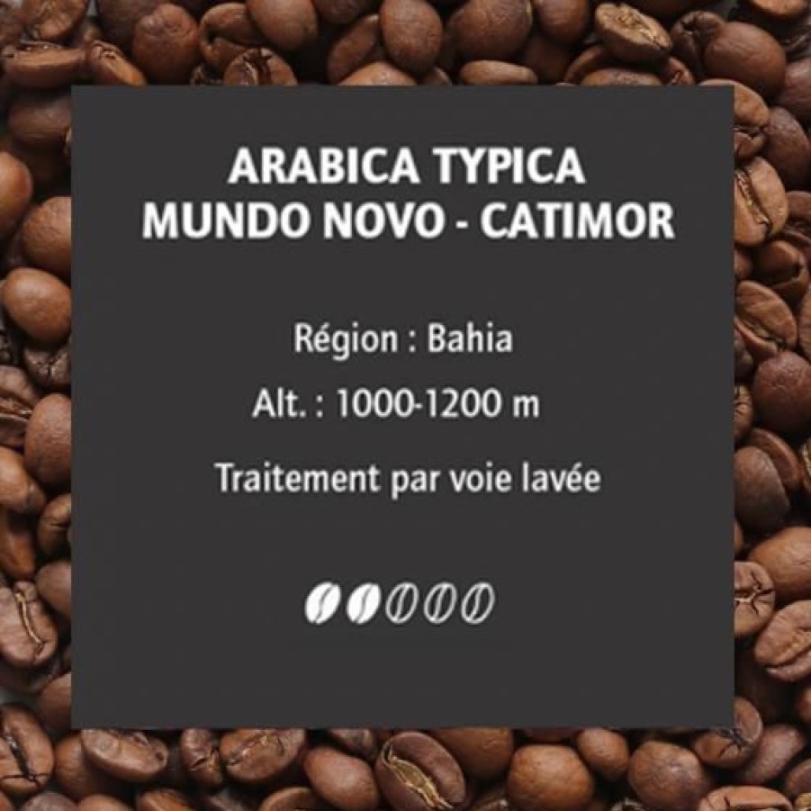 Cafe Comptoi Rsrichard Cafe Pure Origine | Cafe Bresil Terra Roxa 250G