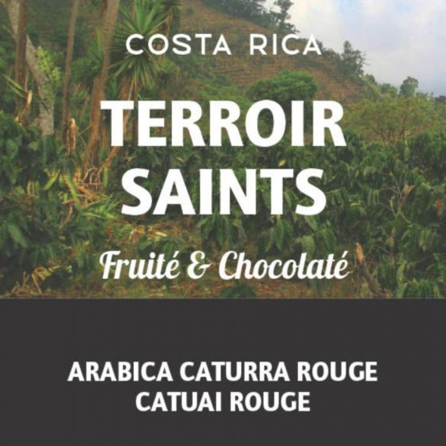 Cafe Comptoi Rsrichard Cafe Pure Origine | Cafe Costa Rica Terroir Saints 250G