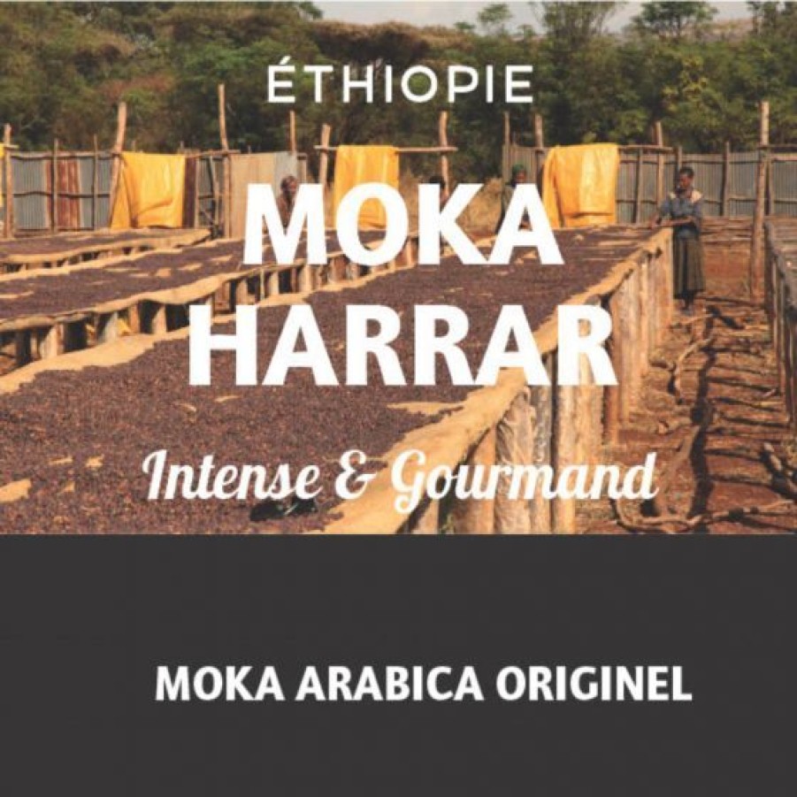 Cafe Comptoi Rsrichard Cafe Pure Origine | Cafe Ethiopie Moka Harrar 250G