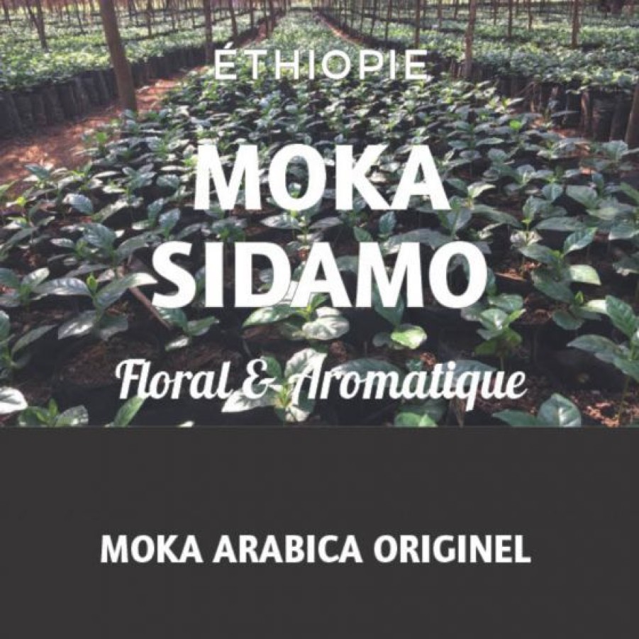 Cafe Comptoi Rsrichard Cafe Pure Origine | Cafe Ethiopie Moka Sidamo 250G